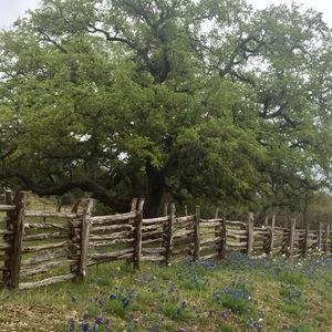 Meet your Posher, Dorothy